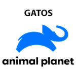 Animal Planet - Gatos