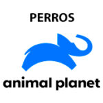 Animal Planet - Perros