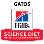 Hill's SD - Gatos