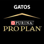 Pro Plan - Gatos