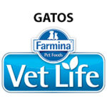 Vet Life - Gatos